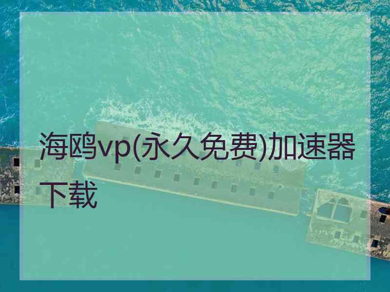 海鸥vp(永久免费)加速器下载