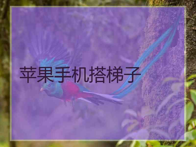 苹果手机搭梯子