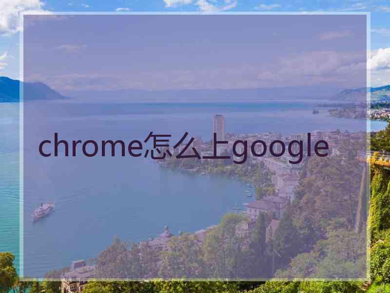 chrome怎么上google