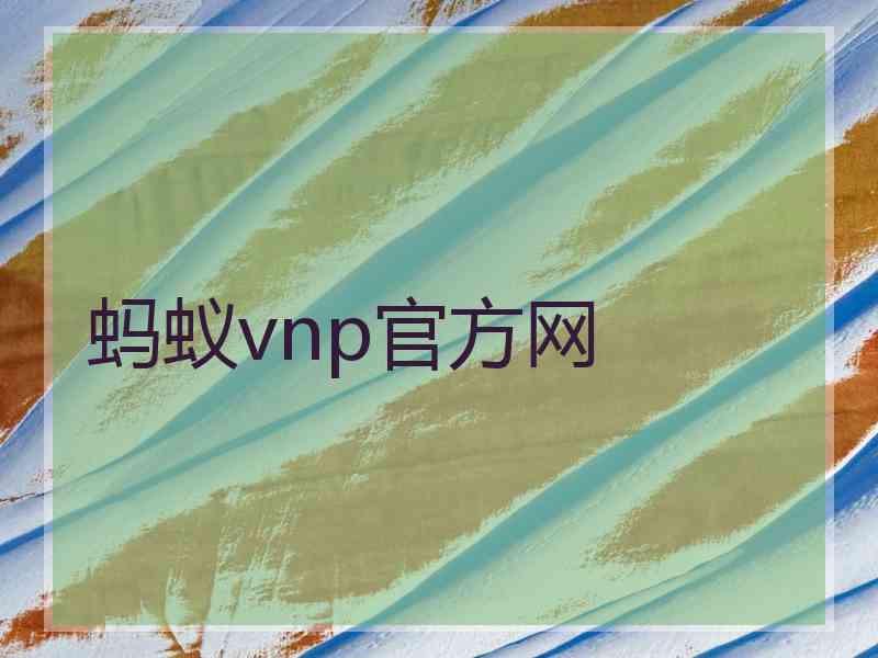 蚂蚁vnp官方网