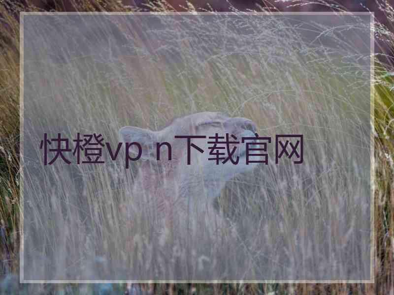 快橙vp n下载官网