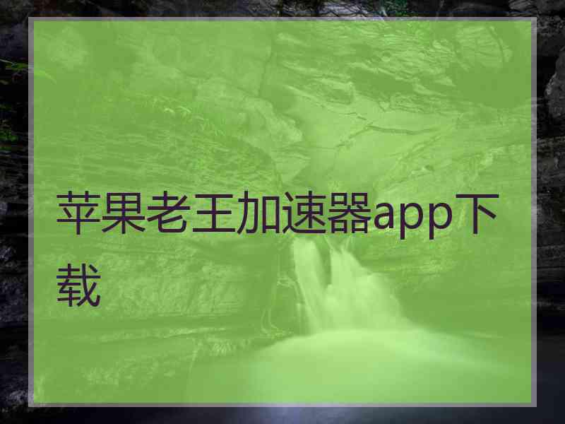 苹果老王加速器app下载