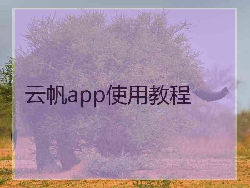 云帆app使用教程