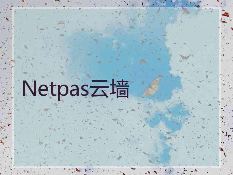 Netpas云墙