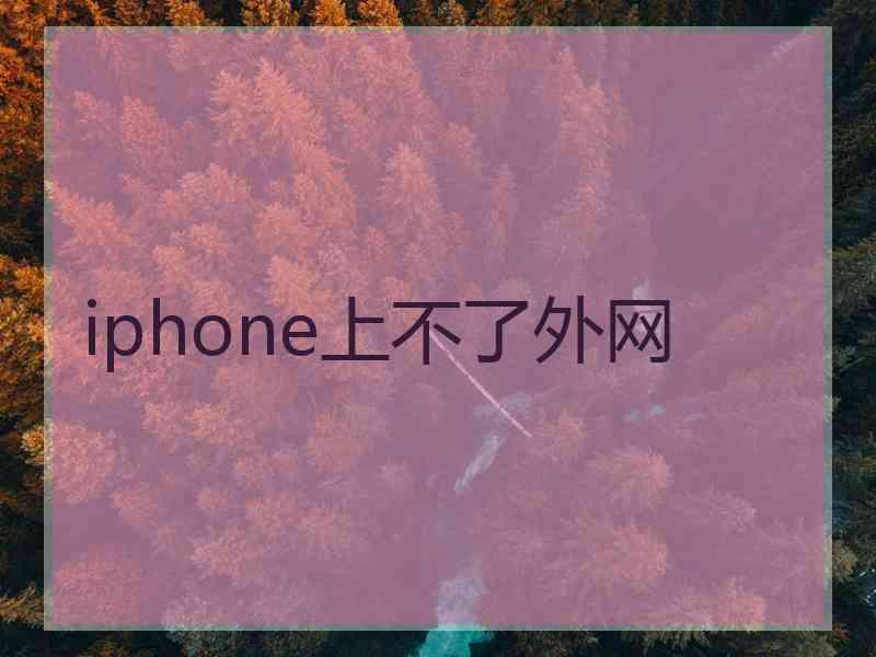 iphone上不了外网