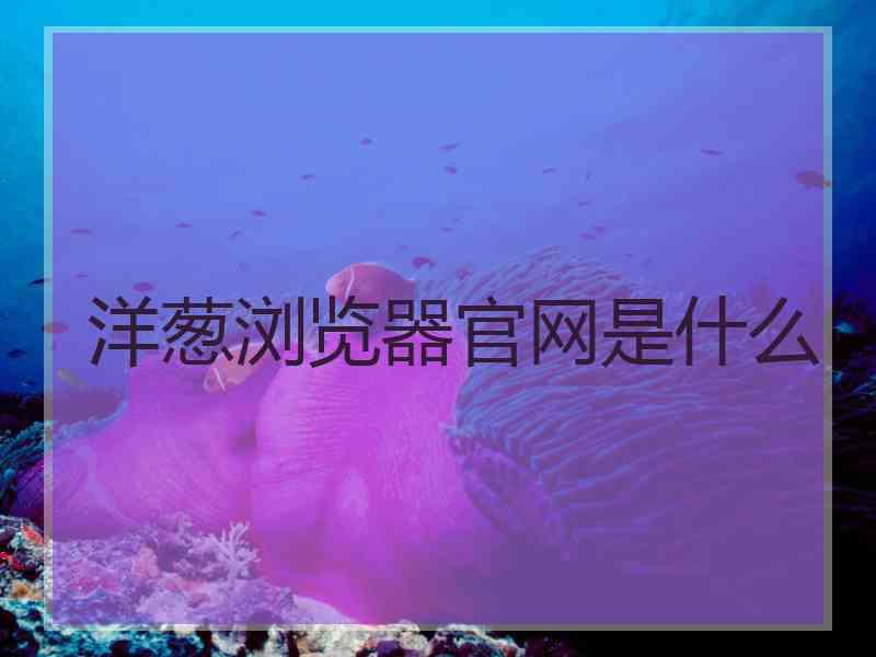 洋葱浏览器官网是什么