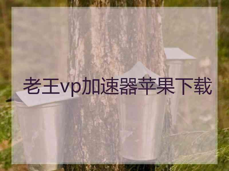 老王vp加速器苹果下载