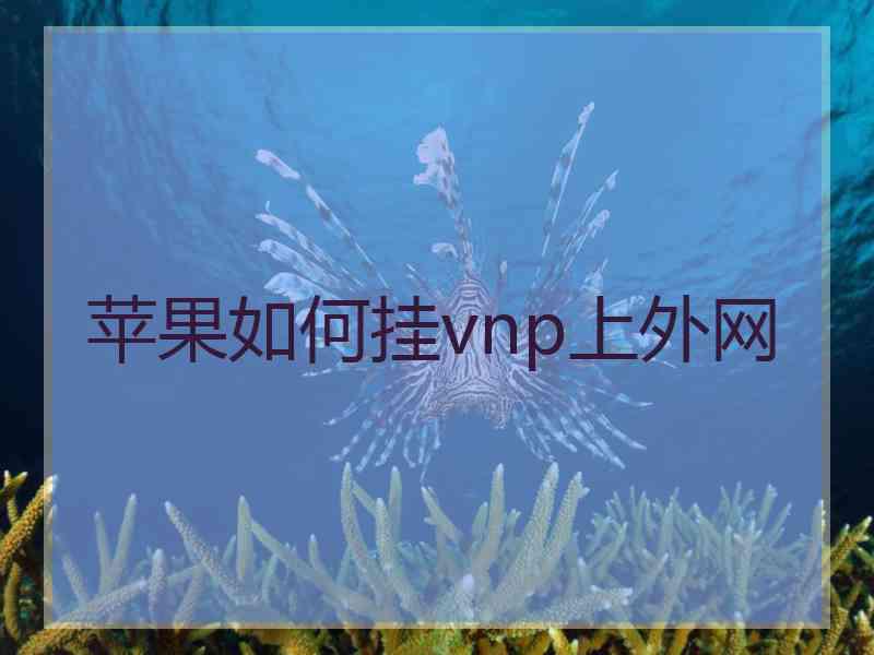 苹果如何挂vnp上外网