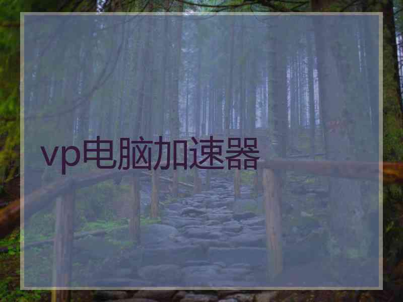 vp电脑加速器