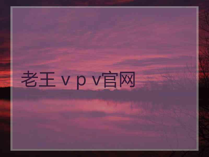 老王 v p v官网