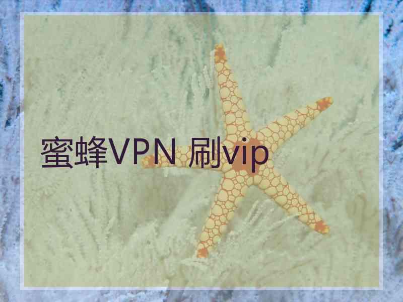 蜜蜂VPN 刷vip