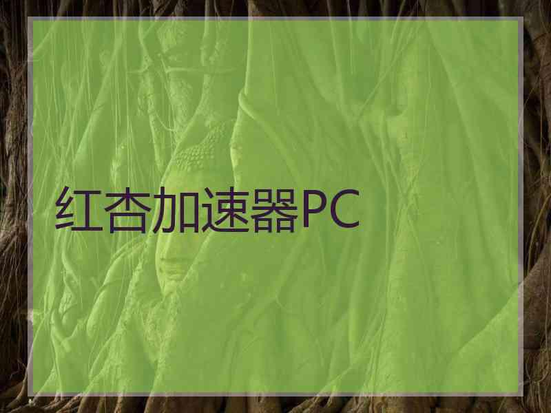 红杏加速器PC