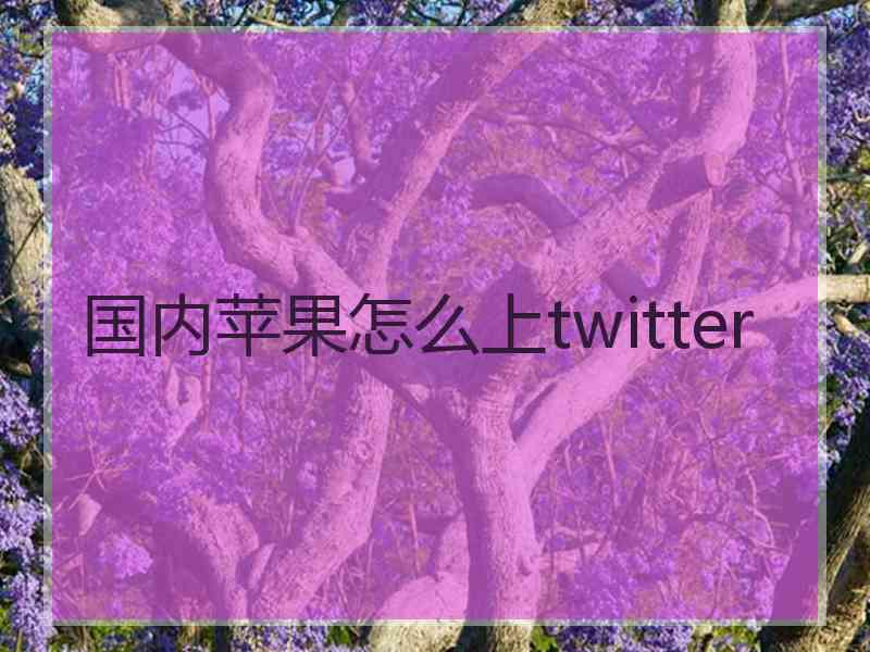 国内苹果怎么上twitter