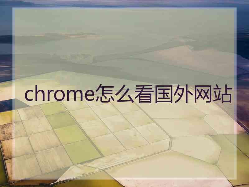 chrome怎么看国外网站