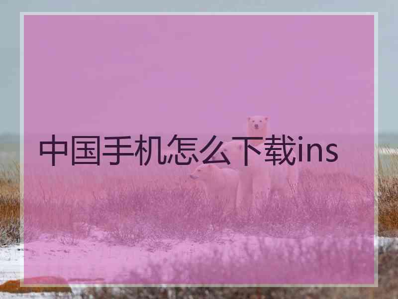 中国手机怎么下载ins