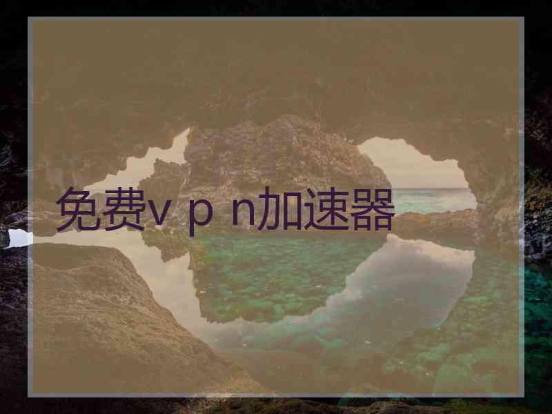 免费v p n加速器