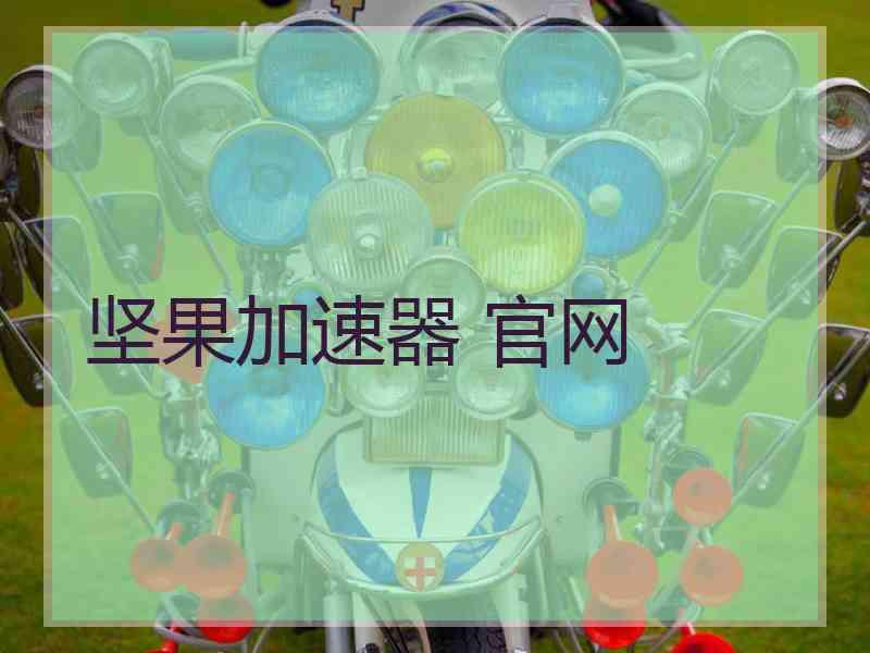 坚果加速器 官网