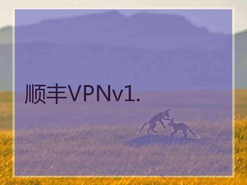 顺丰VPNv1.