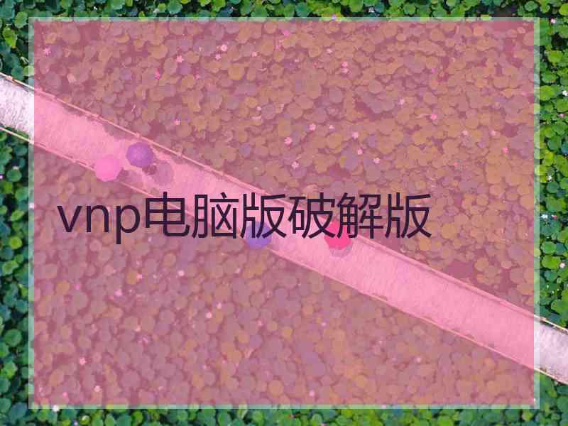 vnp电脑版破解版