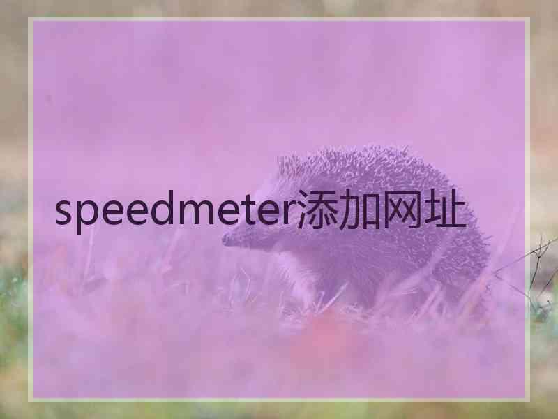 speedmeter添加网址