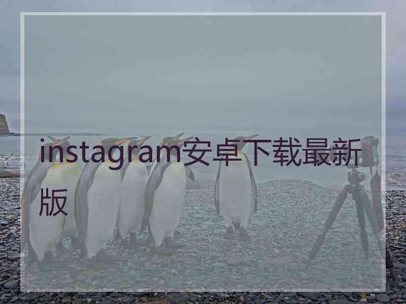 instagram安卓下载最新版