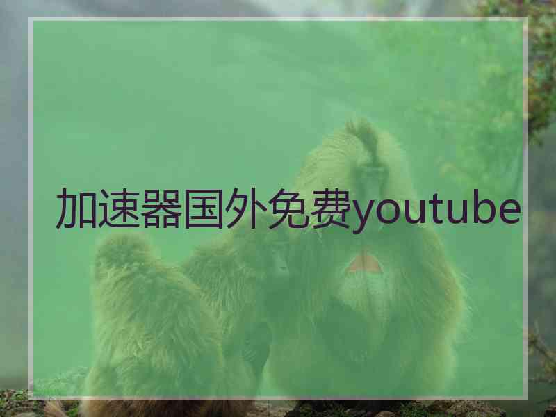 加速器国外免费youtube