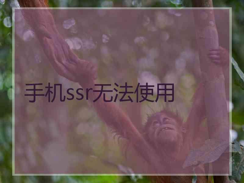 手机ssr无法使用