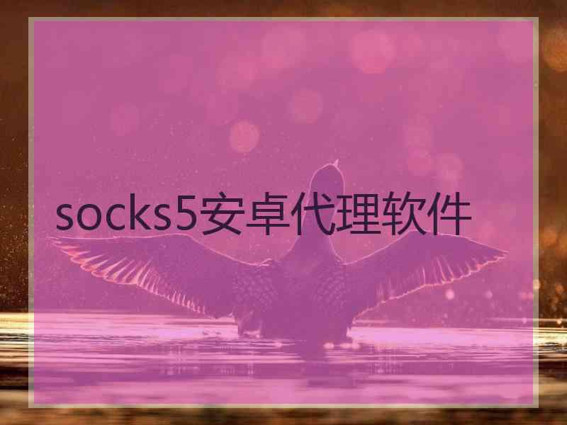 socks5安卓代理软件