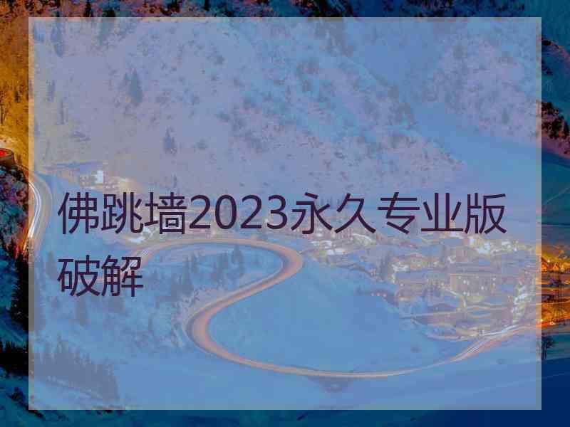 佛跳墙2023永久专业版破解