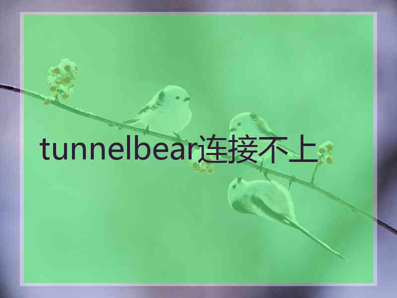 tunnelbear连接不上