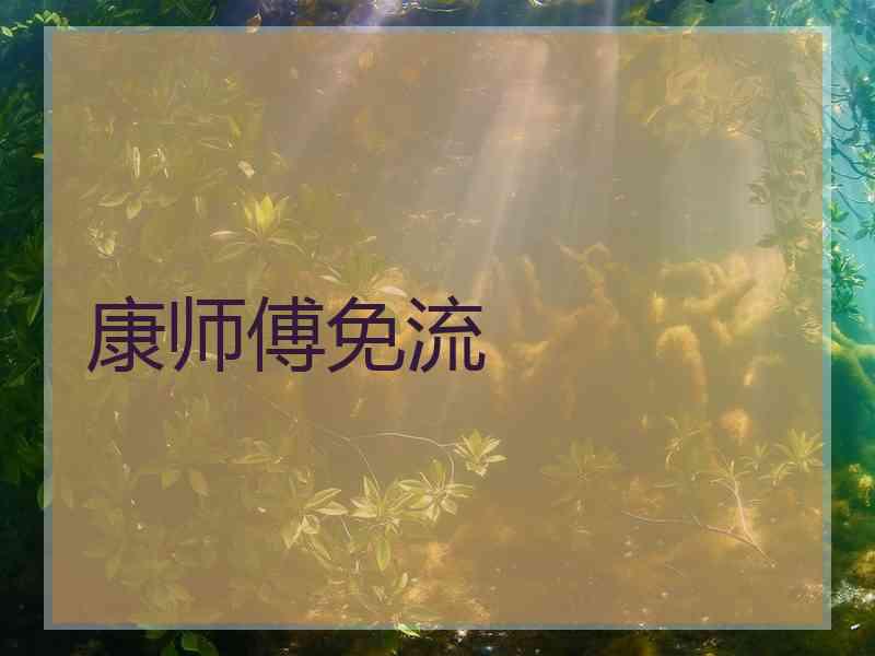 康师傅免流