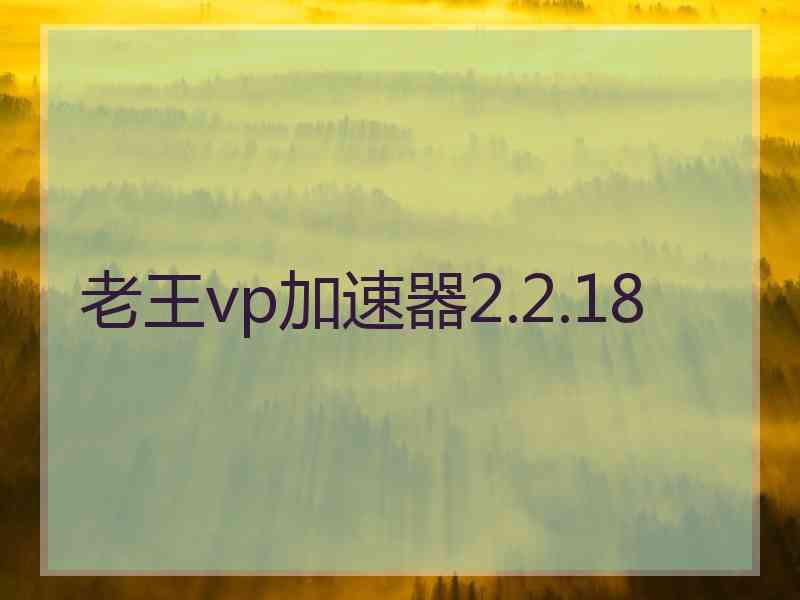 老王vp加速器2.2.18