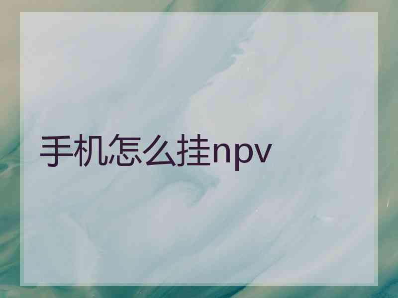 手机怎么挂npv