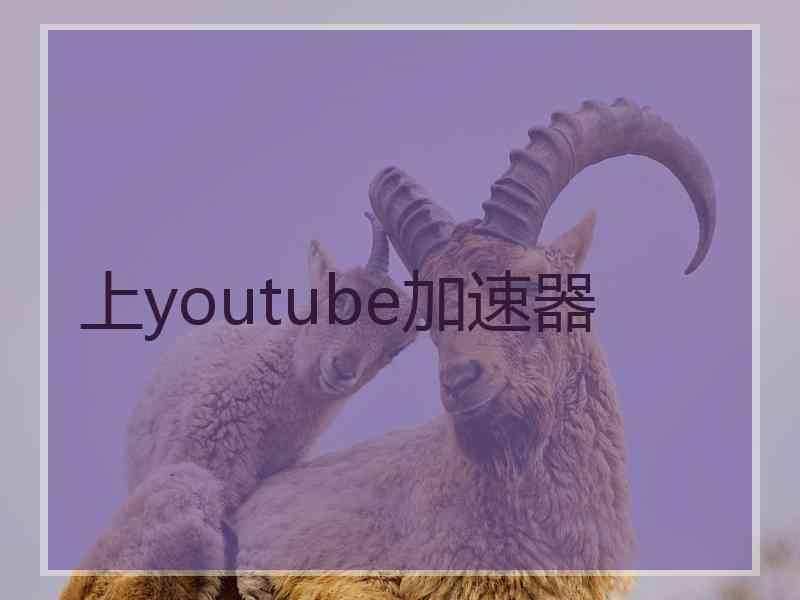 上youtube加速器