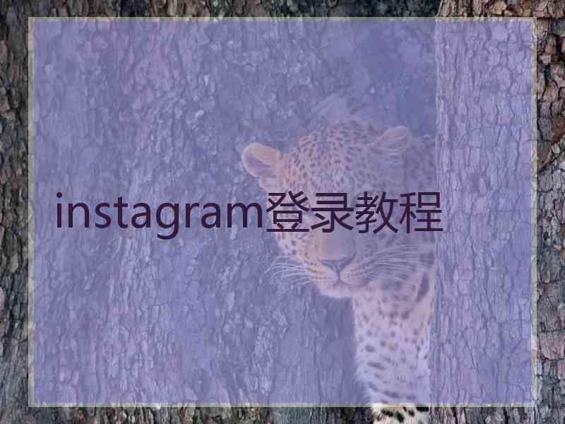 instagram登录教程