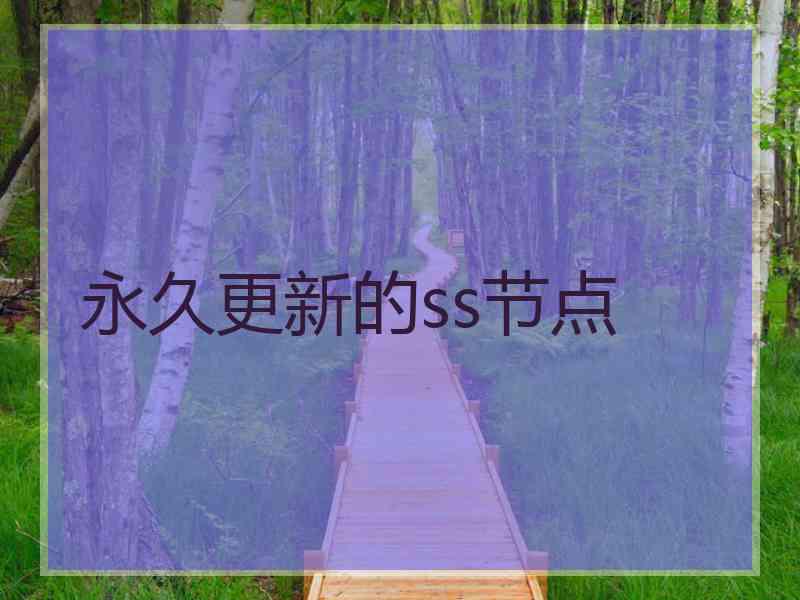 永久更新的ss节点