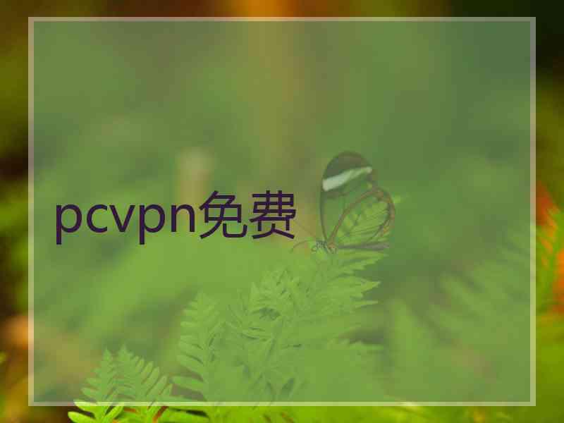 pcvpn免费