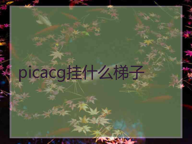 picacg挂什么梯子