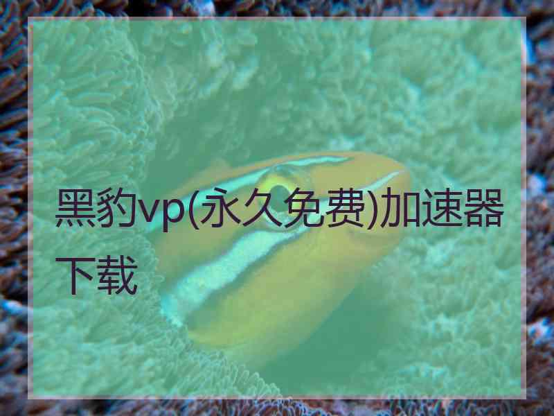 黑豹vp(永久免费)加速器下载