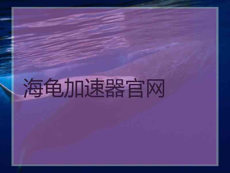 海龟加速器官网