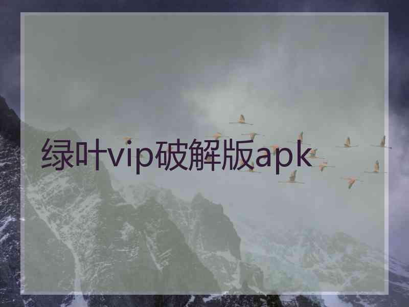 绿叶vip破解版apk