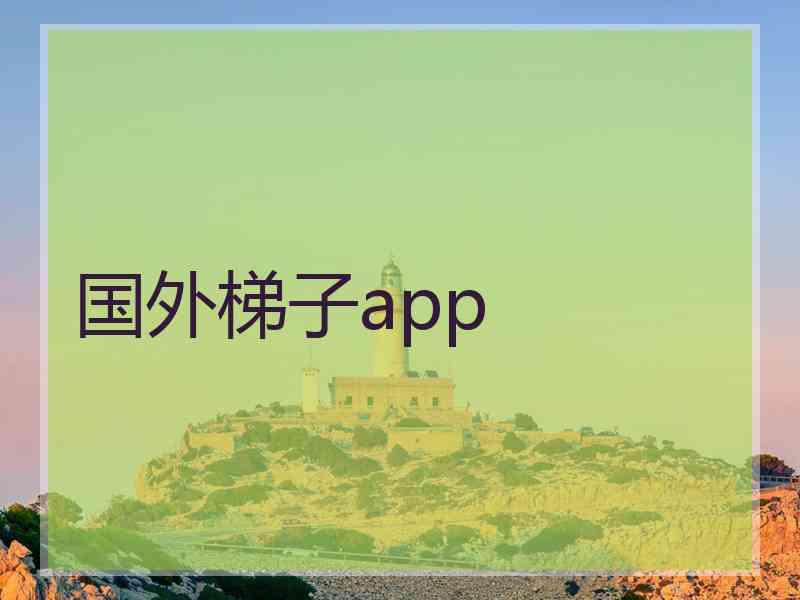 国外梯子app