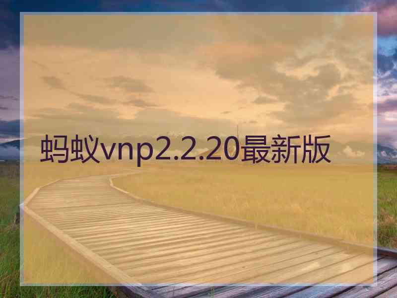 蚂蚁vnp2.2.20最新版