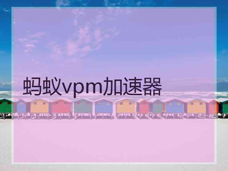 蚂蚁vpm加速器