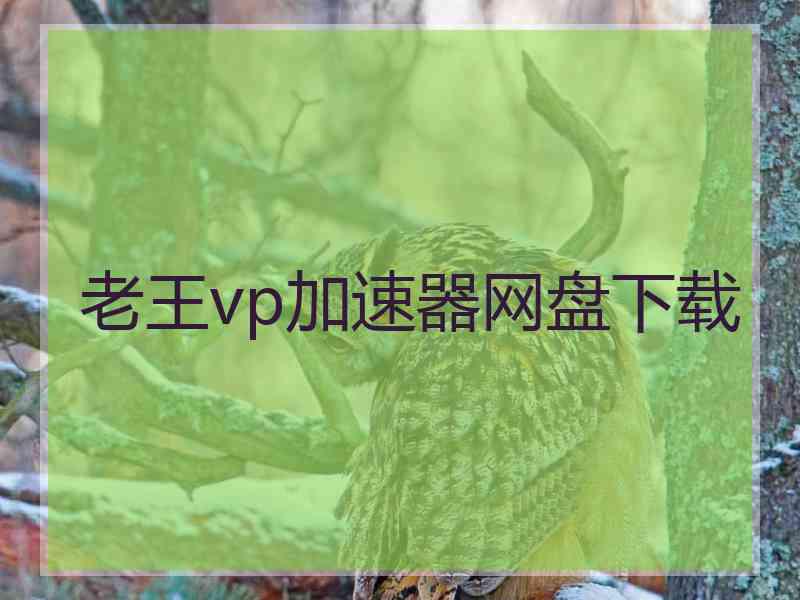 老王vp加速器网盘下载