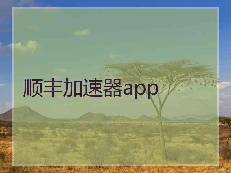 顺丰加速器app