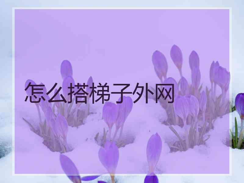 怎么搭梯子外网