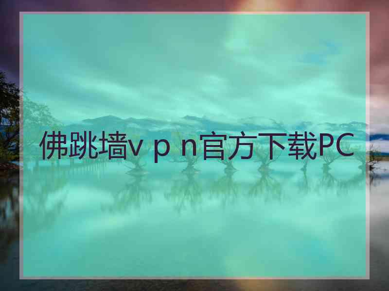 佛跳墙v p n官方下载PC