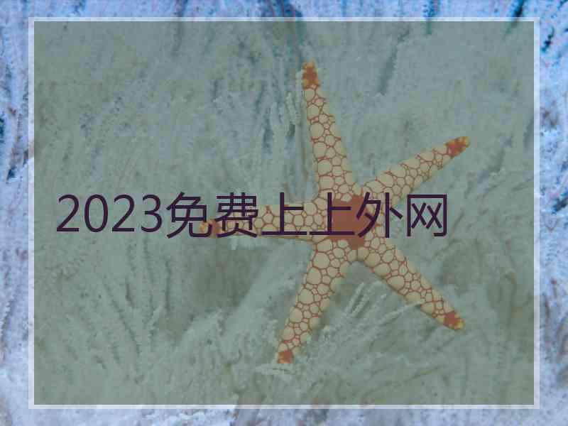 2023免费上上外网