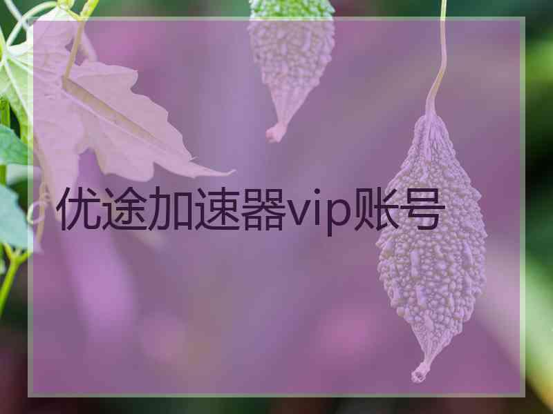 优途加速器vip账号